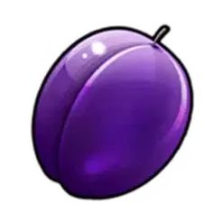 icon 5