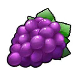 icon 4