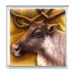 icon 2