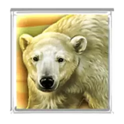 icon 3
