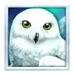 icon 1