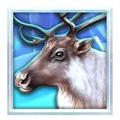 icon 2