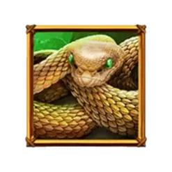 icon 4