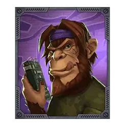 icon 5