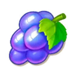 icon 6