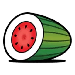 icon 4