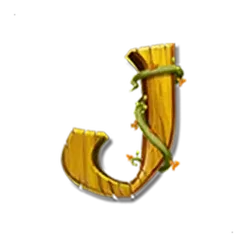 icon 11