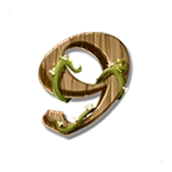 icon 13