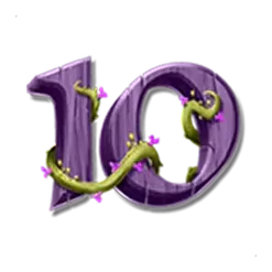 icon 12