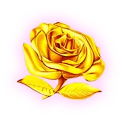 icon 4