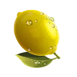 icon 6