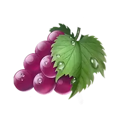 icon 4