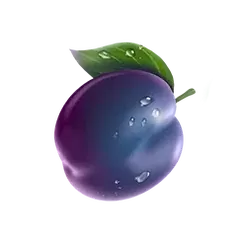icon 5