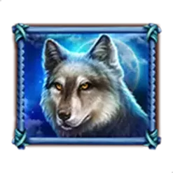 icon 5