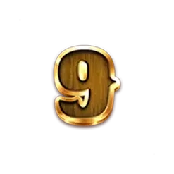icon 12