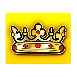 icon 1