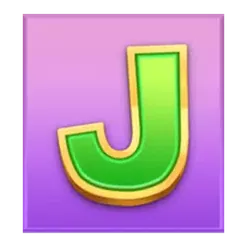 icon 13