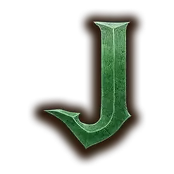 icon 13