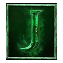 icon 13