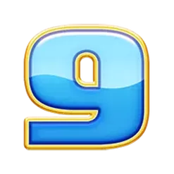 icon 12