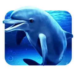 icon 3
