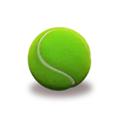 icon 9