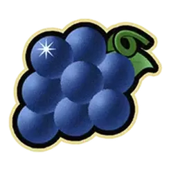 icon 4