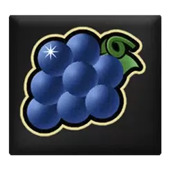 icon 4