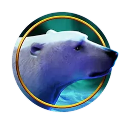 icon 6