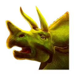 icon 3
