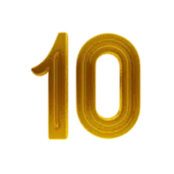 icon 10