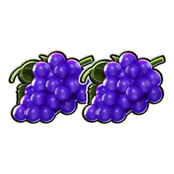 icon 4