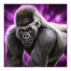 icon 2
