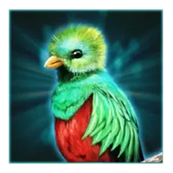icon 4
