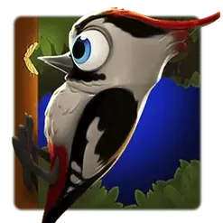 icon 1