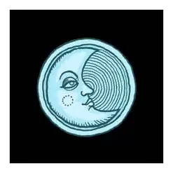 icon 7