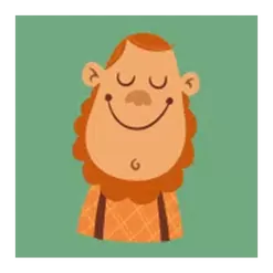 icon 4