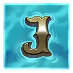 icon 13