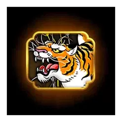 icon 9