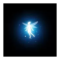 icon 10