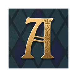 icon 13