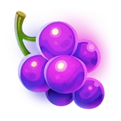 icon 5
