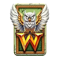 icon 1