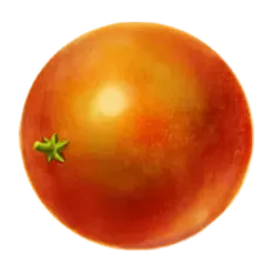 icon 6