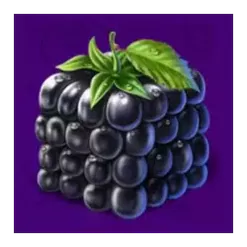 icon 3