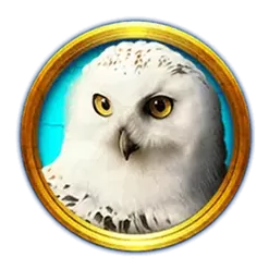 icon 4