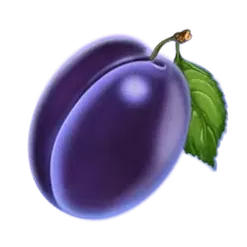 icon 5