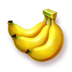 icon 4