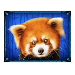 icon 4