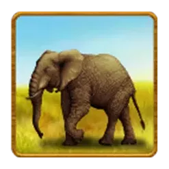 icon 2